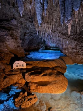 おきなわワールドに投稿された画像（2024/7/2）