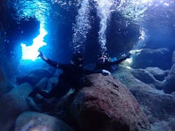 PIPELINEに投稿された画像（2024/7/2）