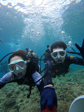 沖縄マリンサービス碧に投稿された画像（2024/7/2）