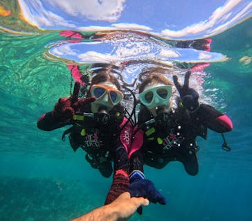 沖縄マリンサービス碧に投稿された画像（2024/7/2）