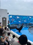 仙台うみの杜水族館に投稿された画像（2024/7/2）