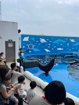 仙台うみの杜水族館に投稿された画像（2024/7/2）