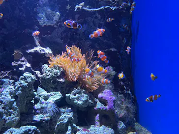 仙台うみの杜水族館に投稿された画像（2024/7/2）