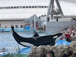名古屋港水族館に投稿された画像（2024/7/2）