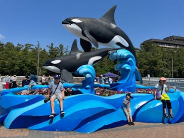 鴨川シーワールドに投稿された画像（2024/7/2）