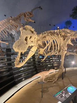 福井県立恐竜博物館に投稿された画像（2024/7/2）