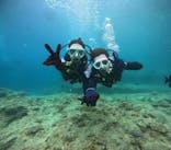 沖縄マリンサービス碧に投稿された画像（2024/7/2）