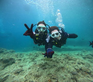 沖縄マリンサービス碧に投稿された画像（2024/7/2）