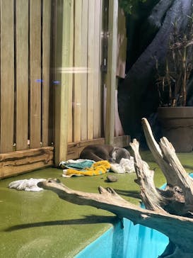 竹島水族館に投稿された画像（2024/7/2）