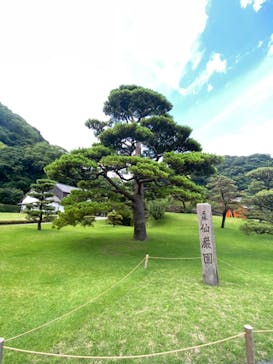 仙巌園に投稿された画像（2024/7/2）