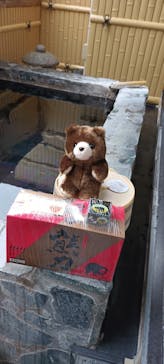 奥飛騨クマ牧場に投稿された画像（2024/7/2）