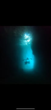 武藤潜水に投稿された画像（2024/7/2）