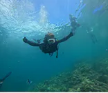 武藤潜水に投稿された画像（2024/7/2）