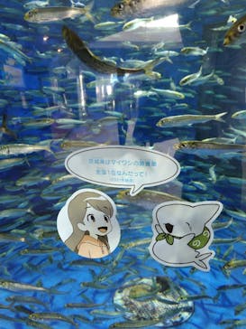 アクアワールド茨城県大洗水族館に投稿された画像（2024/7/2）