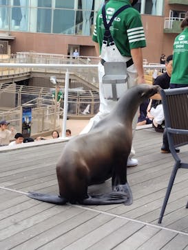アクアワールド茨城県大洗水族館に投稿された画像（2024/7/2）