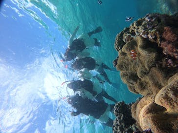 宮古島 ADVENTURE PiPi（ミヤコジマ アドベンチャー ピピ）に投稿された画像（2024/7/2）