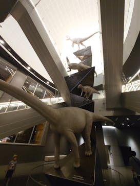 福井県立恐竜博物館に投稿された画像（2024/7/2）