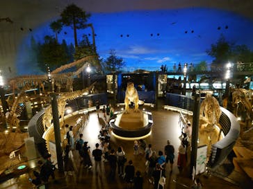 福井県立恐竜博物館に投稿された画像（2024/7/2）