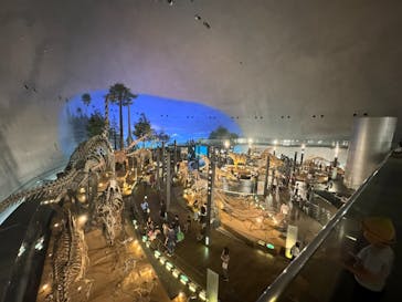 福井県立恐竜博物館に投稿された画像（2024/7/2）