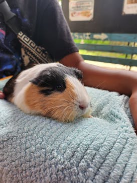 ネオパークオキナワに投稿された画像（2024/7/2）