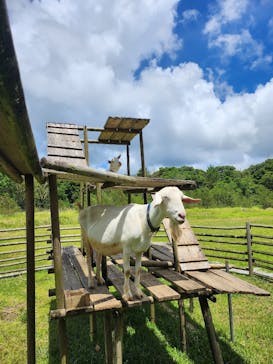 ネオパークオキナワに投稿された画像（2024/7/2）