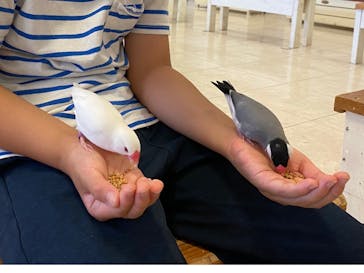 Moff animal world BIGHOPガーデンモール印西店に投稿された画像（2024/7/2）