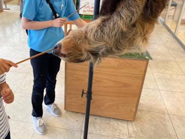 Moff animal world BIGHOPガーデンモール印西店に投稿された画像（2024/7/2）