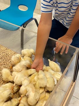 Moff animal world BIGHOPガーデンモール印西店に投稿された画像（2024/7/2）