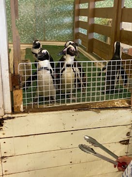 Moff animal world BIGHOPガーデンモール印西店に投稿された画像（2024/7/2）