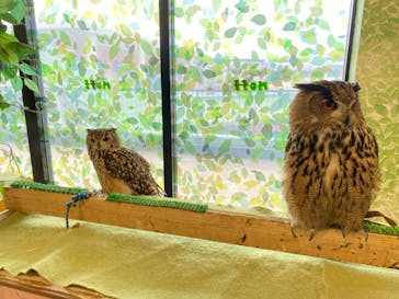 Moff animal world BIGHOPガーデンモール印西店に投稿された画像（2024/7/2）