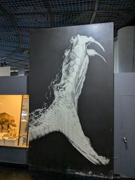 おきなわワールドに投稿された画像（2024/7/2）