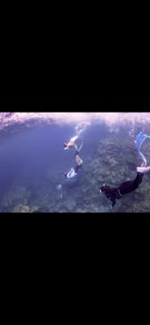 ソルトウォーターソーシャルクラブに投稿された画像（2024/7/2）