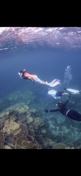 ソルトウォーターソーシャルクラブに投稿された画像（2024/7/2）