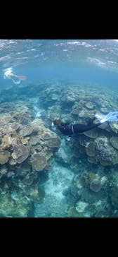 ソルトウォーターソーシャルクラブに投稿された画像（2024/7/2）