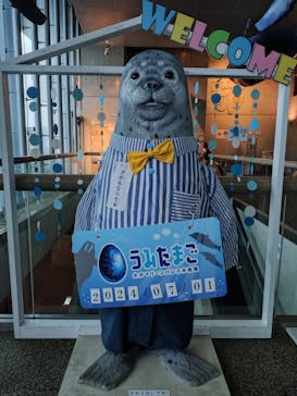 大分マリーンパレス水族館 「うみたまご」に投稿された画像（2024/7/2）