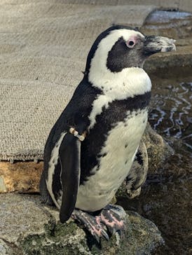 NIFREL（ニフレル）に投稿された画像（2024/7/2）