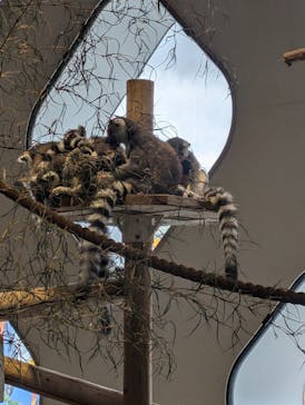 NIFREL（ニフレル）に投稿された画像（2024/7/2）