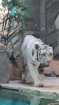 NIFREL（ニフレル）に投稿された画像（2024/7/2）