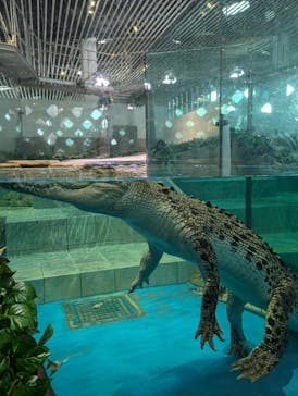 NIFREL（ニフレル）に投稿された画像（2024/7/2）