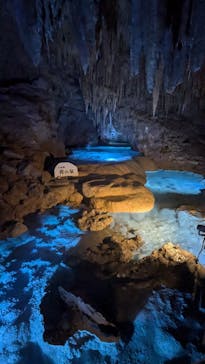 おきなわワールドに投稿された画像（2024/7/2）