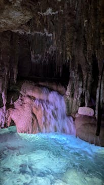 おきなわワールドに投稿された画像（2024/7/2）