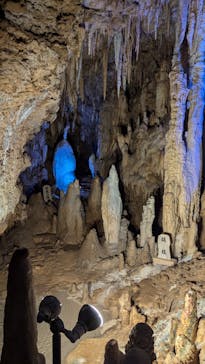 おきなわワールドに投稿された画像（2024/7/2）