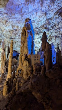 おきなわワールドに投稿された画像（2024/7/2）