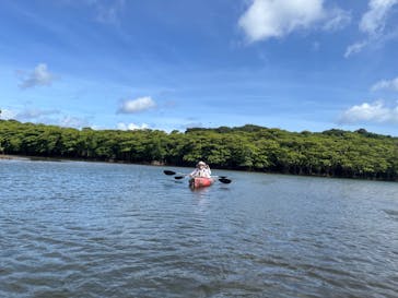 西表島サニーデイに投稿された画像（2024/7/3）