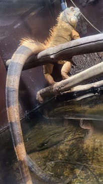 マクセル アクアパーク品川に投稿された画像（2024/7/3）