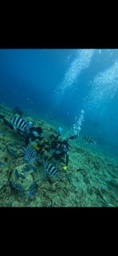 武藤潜水に投稿された画像（2024/7/3）