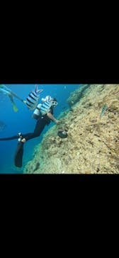 武藤潜水に投稿された画像（2024/7/3）