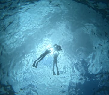 沖縄マリンサービス碧に投稿された画像（2024/7/3）