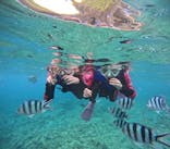 沖縄マリンサービス碧に投稿された画像（2024/7/3）