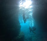 沖縄マリンサービス碧に投稿された画像（2024/7/3）